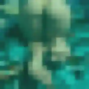 Photo de Berengere à Amnéville (25 ans) - rencontre adulte anonyme