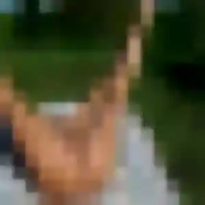 Albane de Annecy, 40 ans - rencontre adulte sans prise de tête
