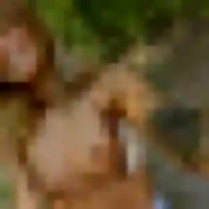 Contacte Sofia, 40 ans à Annezin en privé