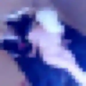 Stephanie, fille de 43 ans cherche rencontre adulte à Aussillon