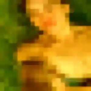 Photo privée de Sara, 34 ans à Avignon - plan discret