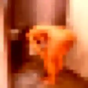 Photo privée de Anais, 19 ans à Baie-Mahault - plan discret