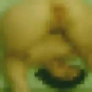 Sixtine (33 ans) à Baisieux cherche une rencontre maintenant