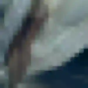 Anne-Sophie, femme de 43 ans cherche rencontre adulte à Behren-lès-Forbach