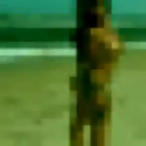 Photo de Alexandra à Berre-l'Étang (27 ans) - rencontre adulte anonyme
