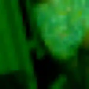 Belle Phoebe, 22 ans à Bessancourt - la contacter