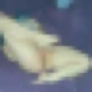 Roxane, 33 ans, veut un rencontre adulte à Biscarrosse