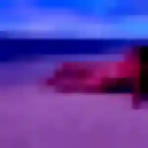 Alexandra, 37 ans, cherche un rencontre adulte à Bischwiller