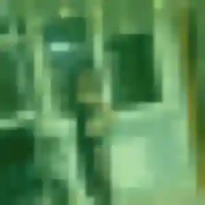 Albertine, 33 ans, en ligne à Bolbec pour un rencontre adulte