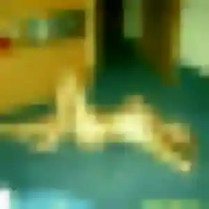 Photo privée de Laure, 29 ans à Brebières - plan discret