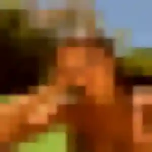 Photo de Rym à Brioude (28 ans) - rencontre adulte anonyme