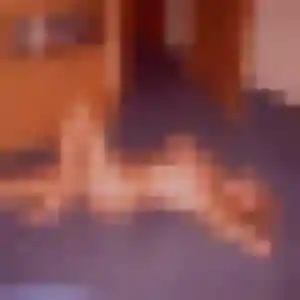 Photo exclusive de Romina, 31 ans à Bully-les-Mines - rencontre coquine
