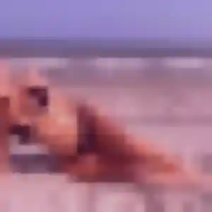 Solene (30 ans) à Champagnole propose une rencontre aujourd'hui