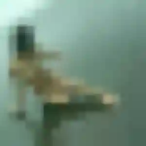 Photo de Melodie à Changé (33 ans) - rencontre adulte gratuit