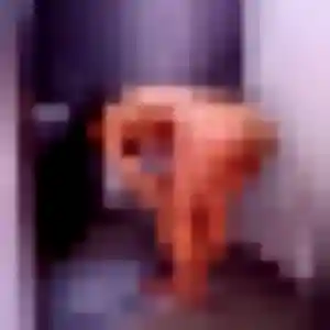 Fabienne, 36 ans, en ligne à Chartres pour une rencontre coquine