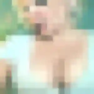 Photo perso de Anouk, 43 ans à Châtillon - rencontre coquine
