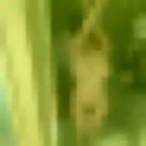 Profil de Augustine à Chevreuse (25 ans) - rencontre adulte discret