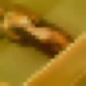 Photo de Agnes à Claix (38 ans) - rencontre adulte sans inscription