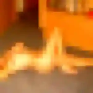 Agathe, 21 ans, dispo pour rencontre adulte à Colombes