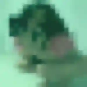 Photo de Albertine à Corte (41 ans) - rencontre adulte anonyme