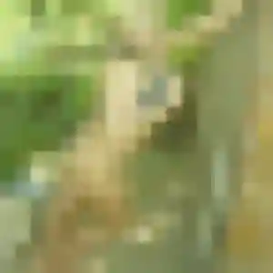 Photo sexy de Inaya, 27 ans à Courdimanche - plan discret