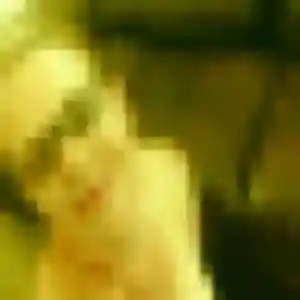 Dina, 34 ans, connectée à Dinard pour un rencontre adulte