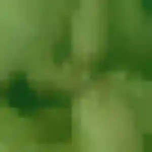 Nadia, femme de 33 ans veut rencontre adulte à Dombasle-sur-Meurthe