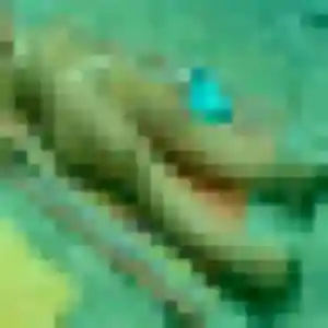 Hilary, femme de 32 ans cherche rencontre adulte à Ensuès-la-Redonne