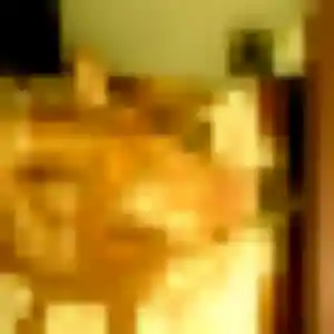 Photo privée de Celia, 22 ans à Escalquens - rencontre sans lendemain