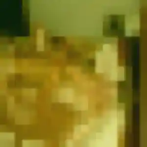 Yasmine, 23 ans, connectée à Fenouillet pour une rencontre coquine