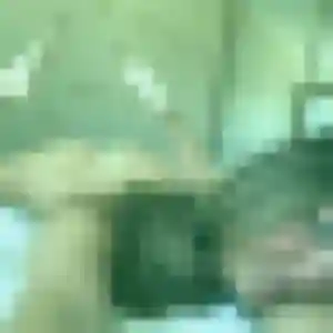 Philippine, fille de 29 ans veut rencontre adulte à Fonsorbes