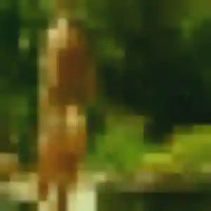 Eliane, femme de 27 ans cherche rencontre adulte à Fosses