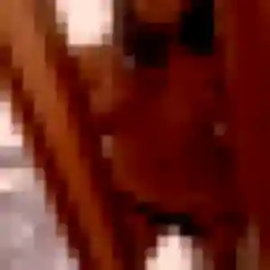 Lily, femme de 39 ans cherche rencontre adulte à Gan
