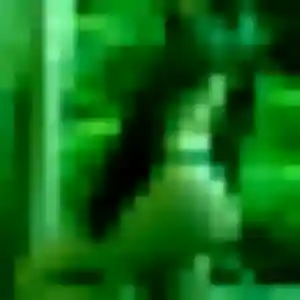 Photo de Chiara à Guénange (39 ans) - rencontre adulte anonyme