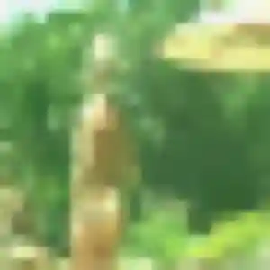 Lucie, 36 ans, connectée à Hersin-Coupigny pour une rencontre coquine