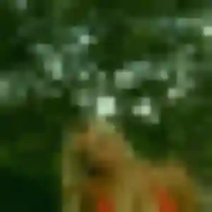 Anne, femme de 25 ans veut rencontre adulte à Kourou