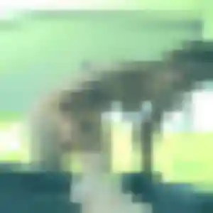 Photo privée de Julie, 36 ans à La Cadière-d'Azur - plan discret