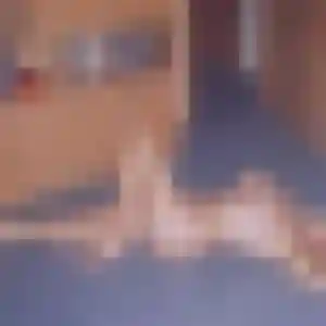 Christelle, fille de 25 ans propose rencontre adulte à La Ferté-Saint-Aubin