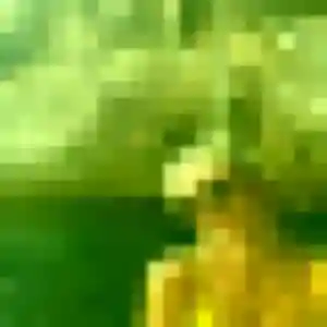 Profil de Noura à La Penne-sur-Huveaune (23 ans) - rencontre adulte anonyme