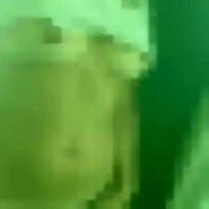 Elena, 45 ans, connectée à La Plaine-des-Palmistes pour un rencontre adulte