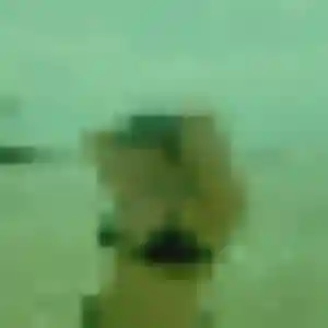 Contacte Juliette, 39 ans à Lagny-sur-Marne en privé