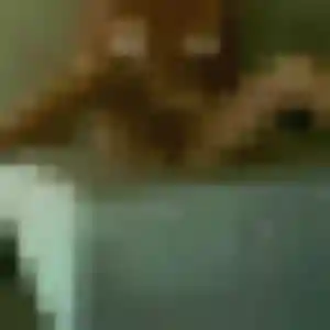 Photo privée de Myriam, 43 ans à Laneuveville-devant-Nancy - rencontre sans lendemain