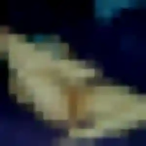 Sexy Clemence, 23 ans à Lanton - la contacter