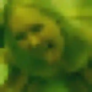 Photo exclusive de Victoire, 37 ans à Le Loroux-Bottereau - plan discret