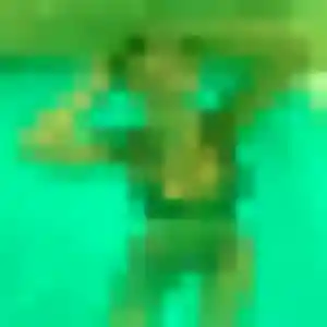 Photo de Anne-Sophie à Le Plessis-Bouchard (44 ans) - rencontre adulte anonyme