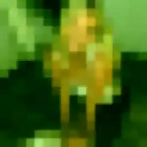 Photo exclusive de Vera, 31 ans à Le Port-Marly - rencontre coquine