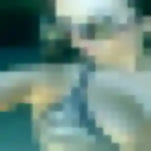 Photo de Erika à Le Pradet (22 ans) - rencontre adulte anonyme