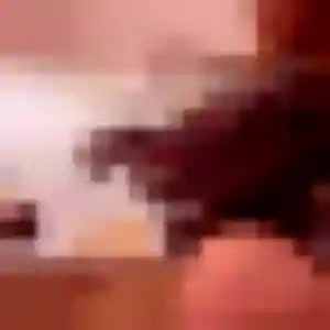 Penelope, femme de 35 ans cherche rencontre adulte à Lesparre-Médoc