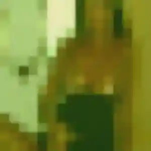 rencontre adulte à Loison-sous-Lens : photo de Perrine, 33 ans - accès libre