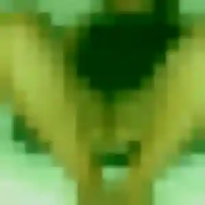 Rym, 40 ans, dispo pour rencontre adulte à Longjumeau